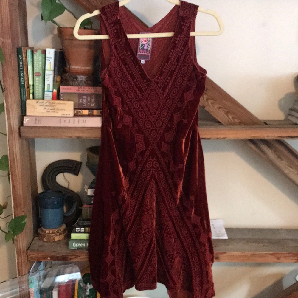 JOHNNY WAS STUNNING velvet tunic/ dress